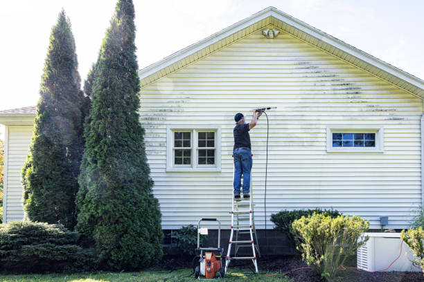 Best Graffiti Removal  in Sparks, GA